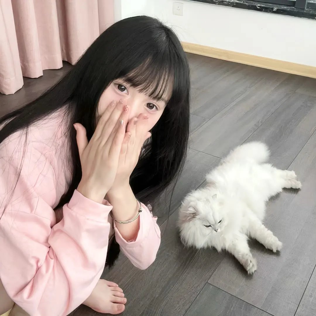 妙探狗福星
